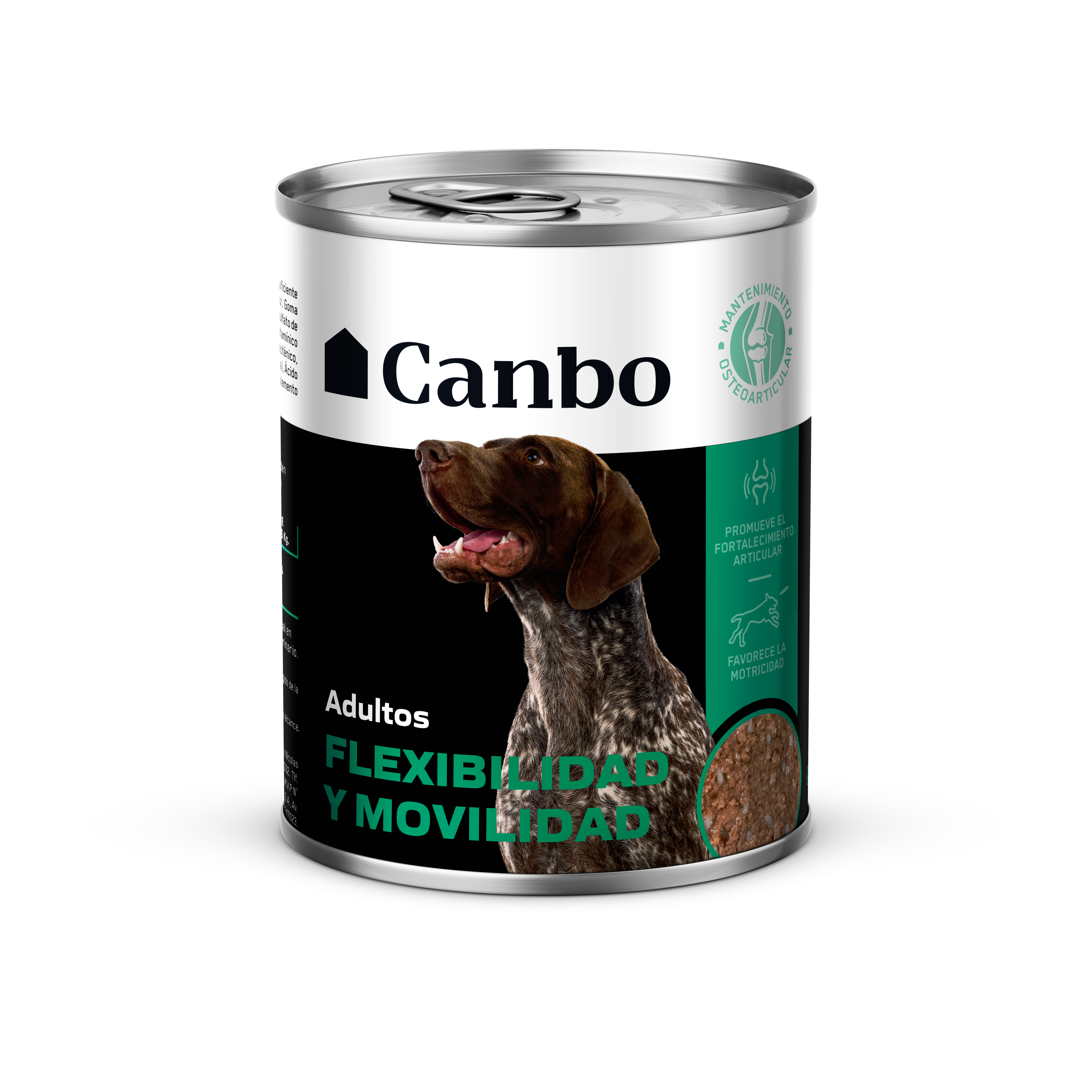 FLEXIBILIDAD Y MOVILIDAD