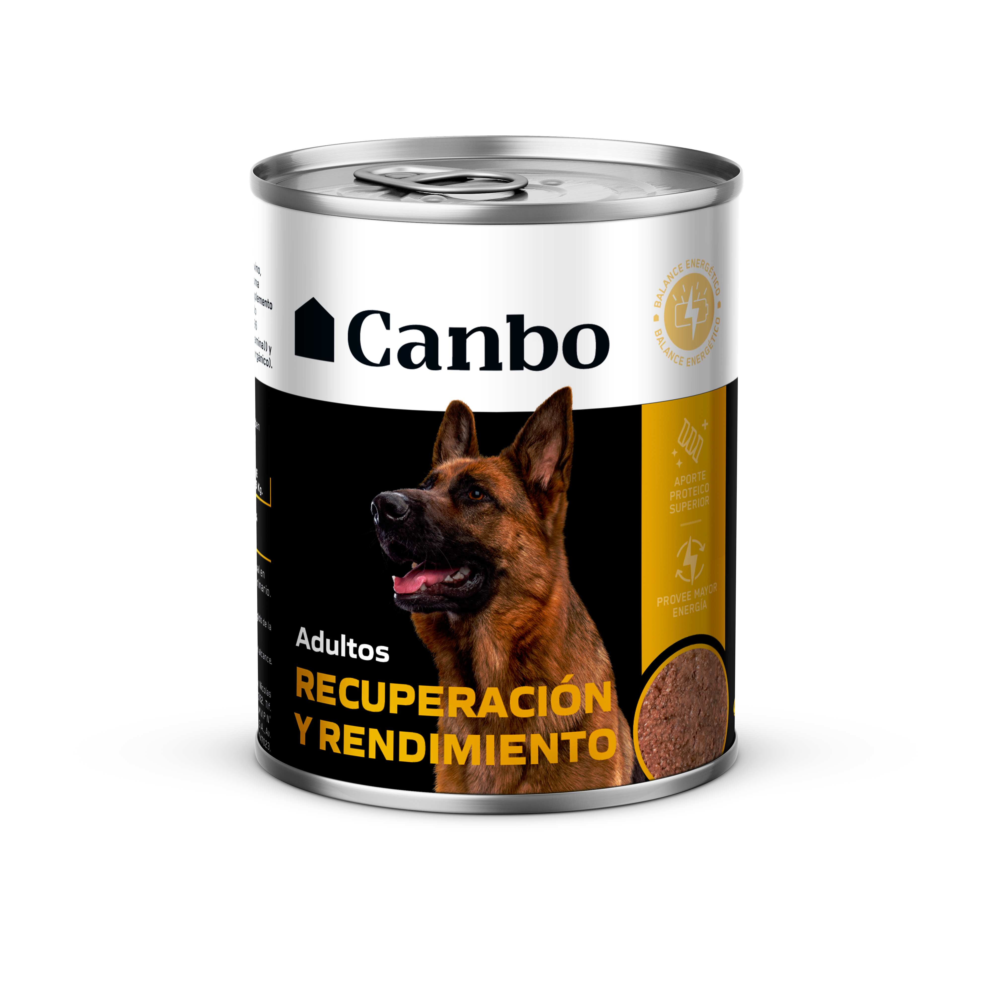 RECUPERACIÓN Y RENDIMIENTO