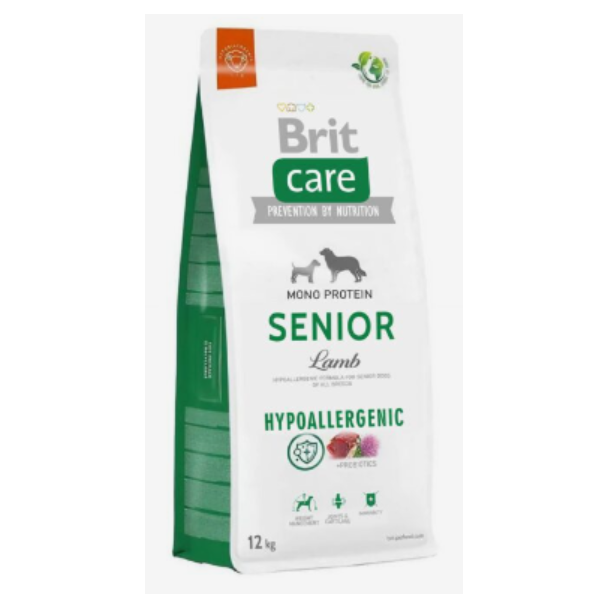 Brit Senior